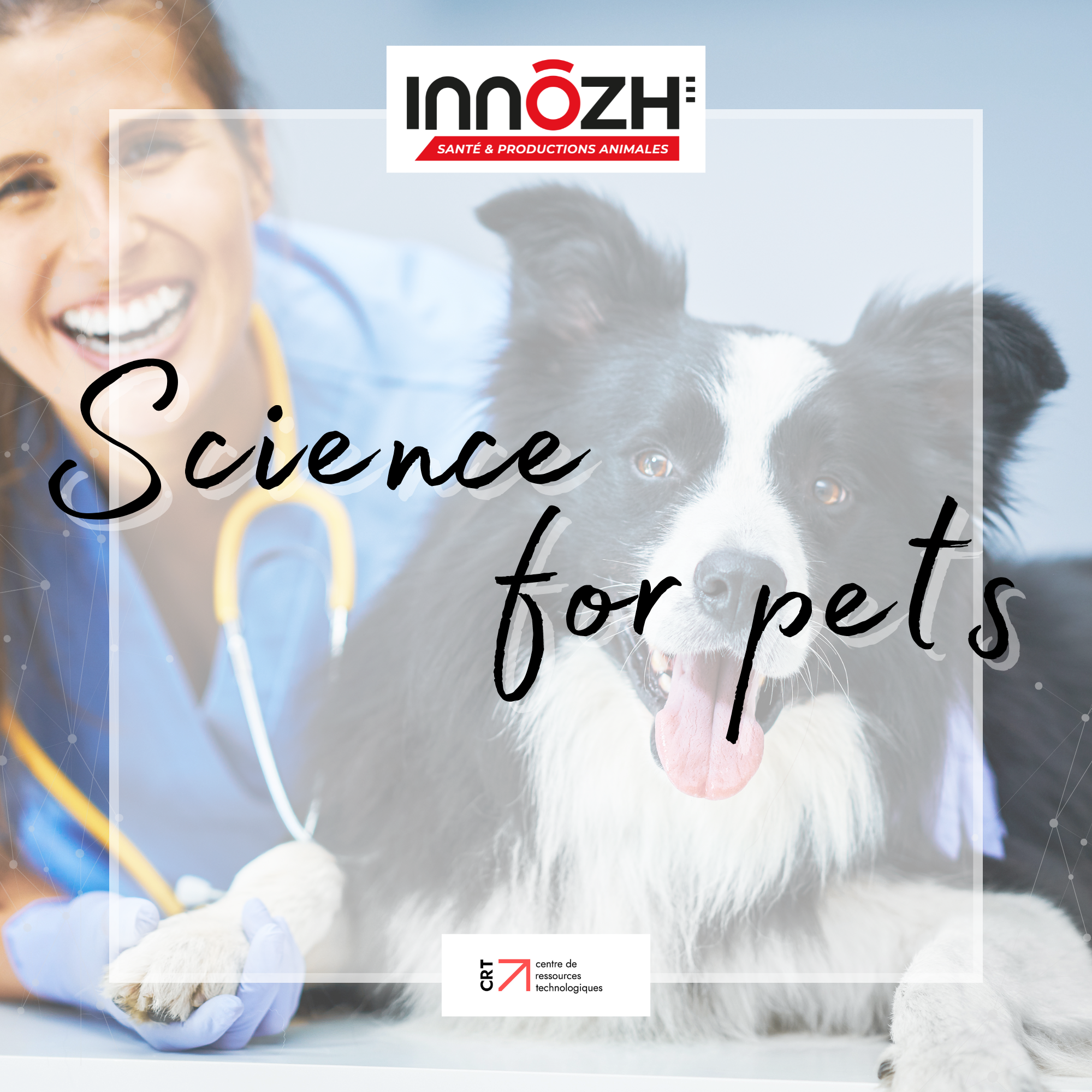 Science for pets : Apporter un appui scientifique pour le développement de produits destinés aux animaux de compagnie