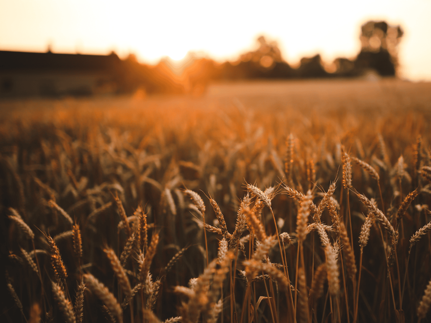 assises de l’agriculture